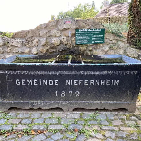 Armkneippbecken in Niefernheim