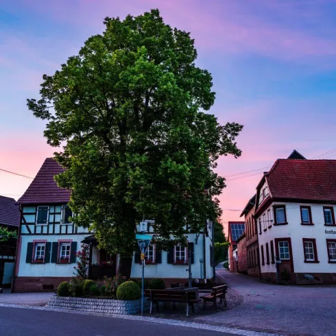 Dierbach Dorfplatz (© Tourismusverein BZA)