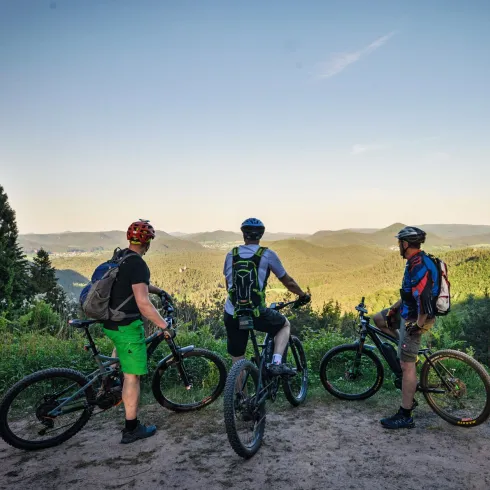 Mountainbikepark Pfälzerwald